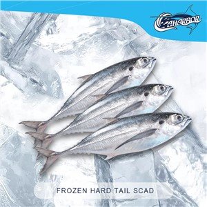 Jäätynyt torpedo scad