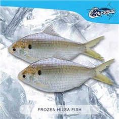 Pakaste Hilsa Kala