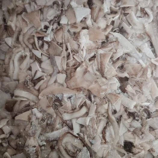 Frozen Squid Scraps skin on