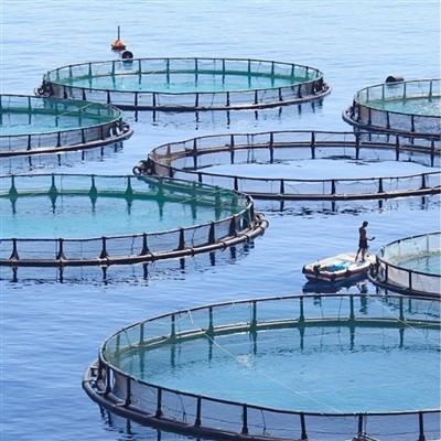 KESTÄVÄSTI KESTÄVÄT merenelävät