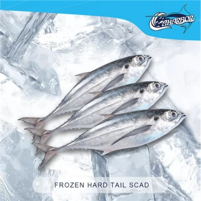 Jäädytetty Finny Scad Fish